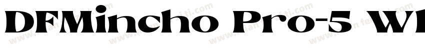 DFMincho Pro-5 W14字体转换